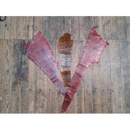 Lot de 3 peaux uniques - Loup de Mer - F - Cuir en Stock