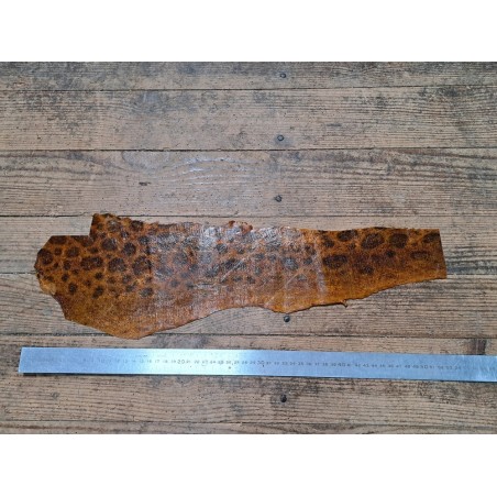 Lot de 3 peaux uniques - Loup de Mer - F - Cuir en Stock