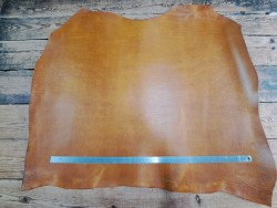 Collet de vache tannage végétal grainé - Fauve - Cuirenstock