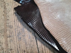 Lot de 2 peaux de cuir de lézard - D - Beige/Chocolat