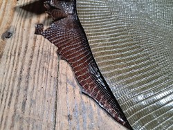 Lot de 2 peaux de cuir de lézard - B - Kaki/Brun