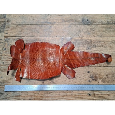 Lot de 2 peaux de cuir de lézard - B - Gris/Brun acajou