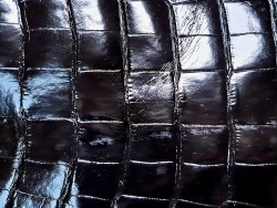 Peau de crocodile véritable - Noir - Cuir en Stock