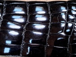 Cuir de crocodile - queue noir satiné - Cuir en Stock