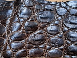Peau de cuir de crocodile marron mat - Cuir en Stock