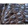 Peau de cuir de crocodile marron mat - Cuir en Stock