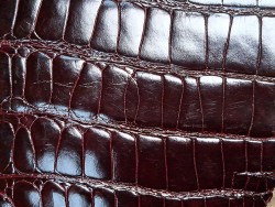 Cuir de crocodile - Bordeaux satiné - Cuir en Stock