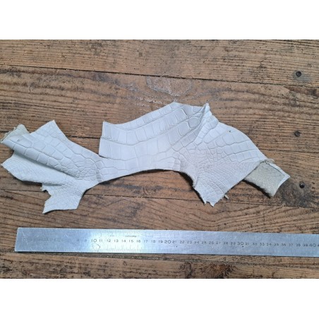 Morceau de crocodile véritable - Blanc mat - Cuirenstock