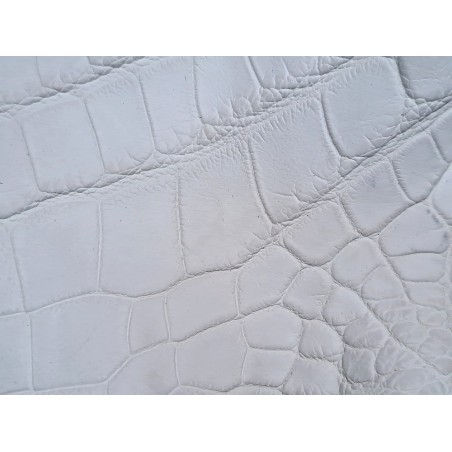 Morceau de crocodile véritable - Blanc mat - Cuirenstock