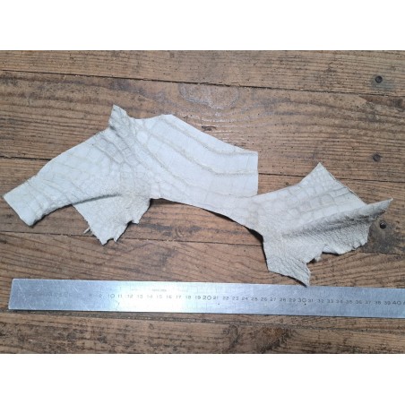 Morceau de crocodile véritable - Blanc mat - Cuirenstock