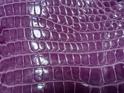 Peau de crocodile - Lilas - Cuir en Stock