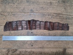 Morceau de cuir de crocodile nuancé - Marron - Cuir en Stock