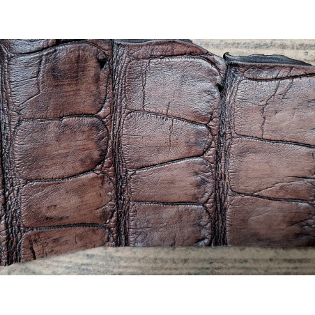Morceau de cuir de crocodile nuancé - Marron - Cuir en Stock