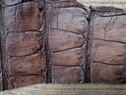 Morceau de cuir de crocodile nuancé - Marron - Cuir en Stock