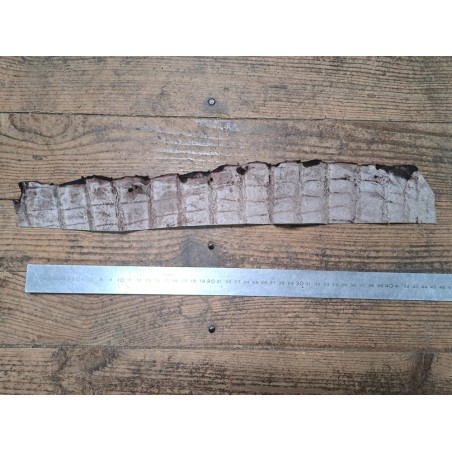 Morceau de cuir de crocodile nuancé - Marron - Cuir en Stock