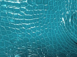Peau de crocodile - Turquoise - Cuir en Stock