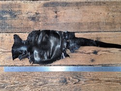 peau de cuir de lézard - noir - accessoire bijoux - Cuir en stock