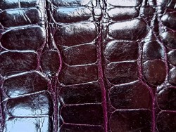 Cuir de crocodile véritable - bordeaux - bijoux ou accessoire - Cuir en Stock