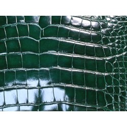 Morceau de cuir de crocodile véritable - vert - bijoux et accessoires - Cuir en stock