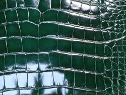 Morceau de cuir de crocodile véritable - vert - bijoux et accessoires - Cuir en stock