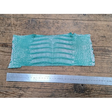 Morceau de cuir de crocodile véritable vert - Cuir en Stock