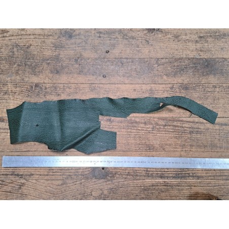 Morceau de peau de cuir de requin - Vert forêt - Cuir en Stock