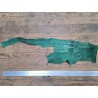 Morceau de peau de cuir de requin - Vert forêt - Cuir en Stock