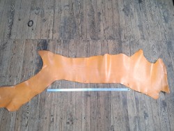 Cuir de flanc de vache - abricot - tannage végétal - Cuir en stock