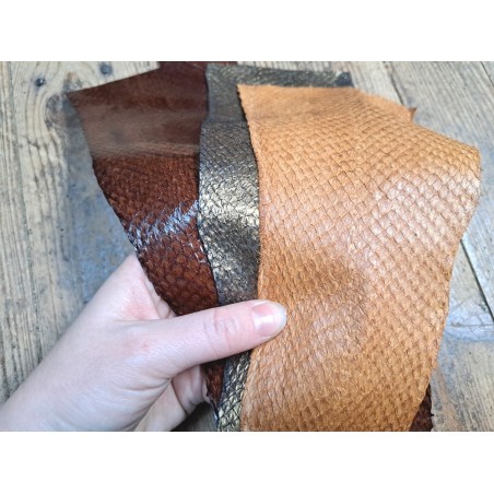 Peau de cuir de poisson - Loup de mer - Cuir marin - Cuir en stock