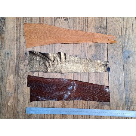 Peau de cuir de poisson - Loup de mer - Cuir marin - cuir en stock