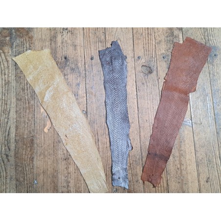 Peau de cuir de poisson - saumon - Cuir marin - Cuirenstock