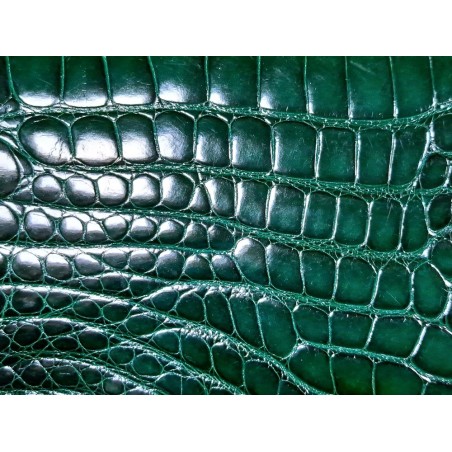 Peau de cuir de crocodile véritable - Vert anglais - Cuir en Stock