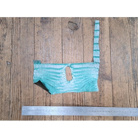 Peau de cuir de crocodile véritable - Vert anglais - Cuir en Stock