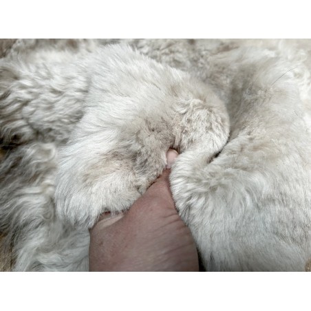 Peau de mouton lainé beige - CHOIX ÉCART - A - Cuir en Stock