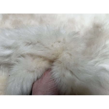 Peau de mouton lainé beige - CHOIX ÉCART - C - Cuir en Stock