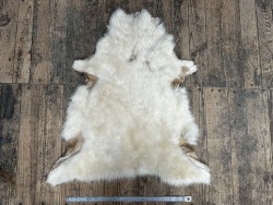 Peau de mouton lainé beige - CHOIX ÉCART - C - Cuir en Stock