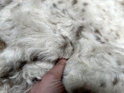Peau de mouton lainé beige - CHOIX ÉCART - D - Cuir en Stock