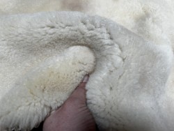 Peau de mouton lainé beige - CHOIX ÉCART - E - Cuir en Stock