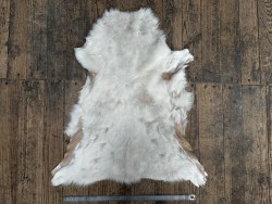 Peau de mouton lainé beige - CHOIX ÉCART - H - Cuir en Stock