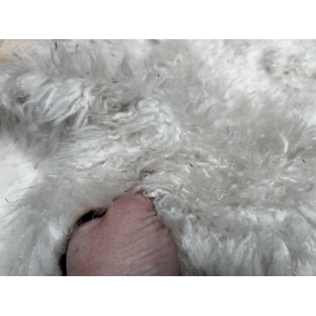 Peau de mouton lainé beige - CHOIX ÉCART - I - Cuir en Stock