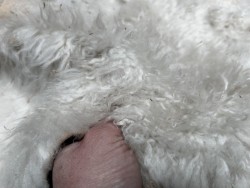 Peau de mouton lainé beige - CHOIX ÉCART - I - Cuir en Stock