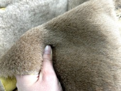 Peau de mouton lainé beige - CHOIX ÉCART - J - Cuir en Stock