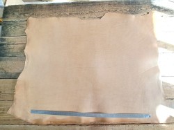 Collet de cuir de vache – Tannage végétal raide 2ᵉ choix - C -