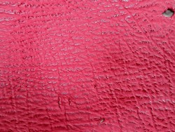 Morceau de cuir de requin - Rouge - maroquinerie - Cuir en Stock