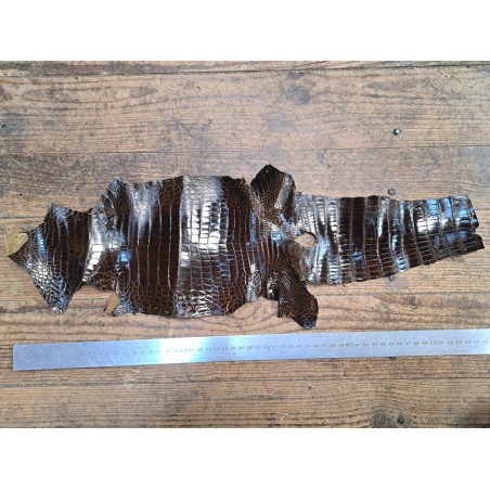 Morceau de cuir de crocodile - Brun kaki - Cuir en Stock