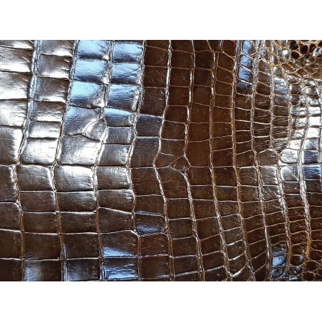 Morceau de cuir de crocodile - Brun kaki - Cuir en Stock