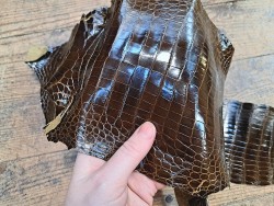 Morceau de cuir de crocodile - Brun kaki - Cuir en Stock