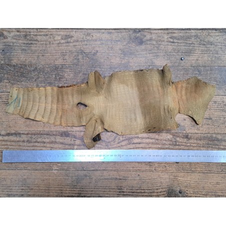 Morceau de cuir de crocodile - Brun kaki - Cuir en Stock