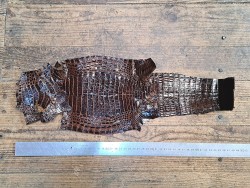 Peau de cuir de crocodile véritable - Brun rouge - Cuir en Stock