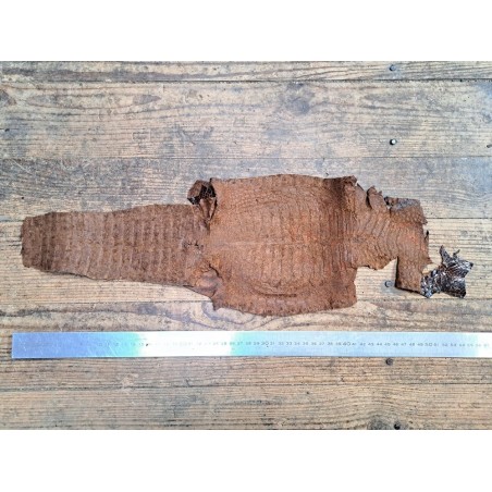 Peau de cuir de crocodile véritable - Brun rouge - Cuir en Stock